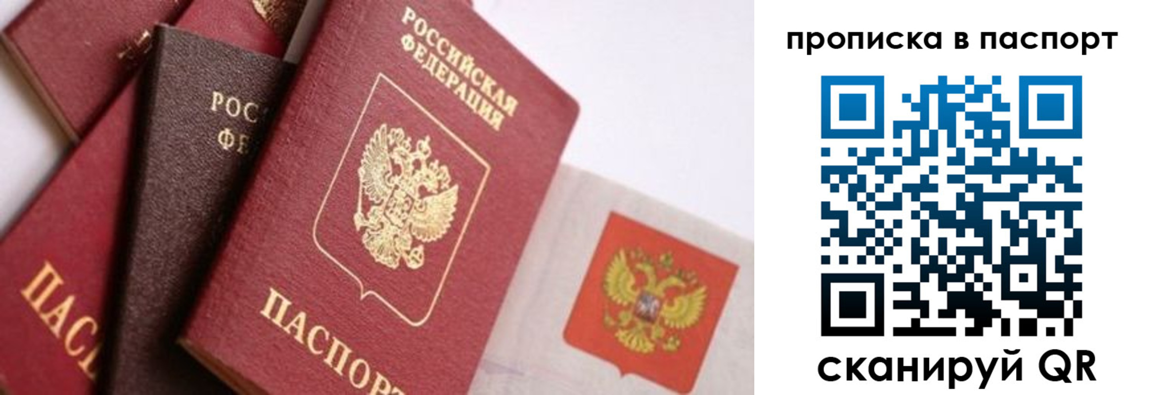 прописка штамп в Смоленской области